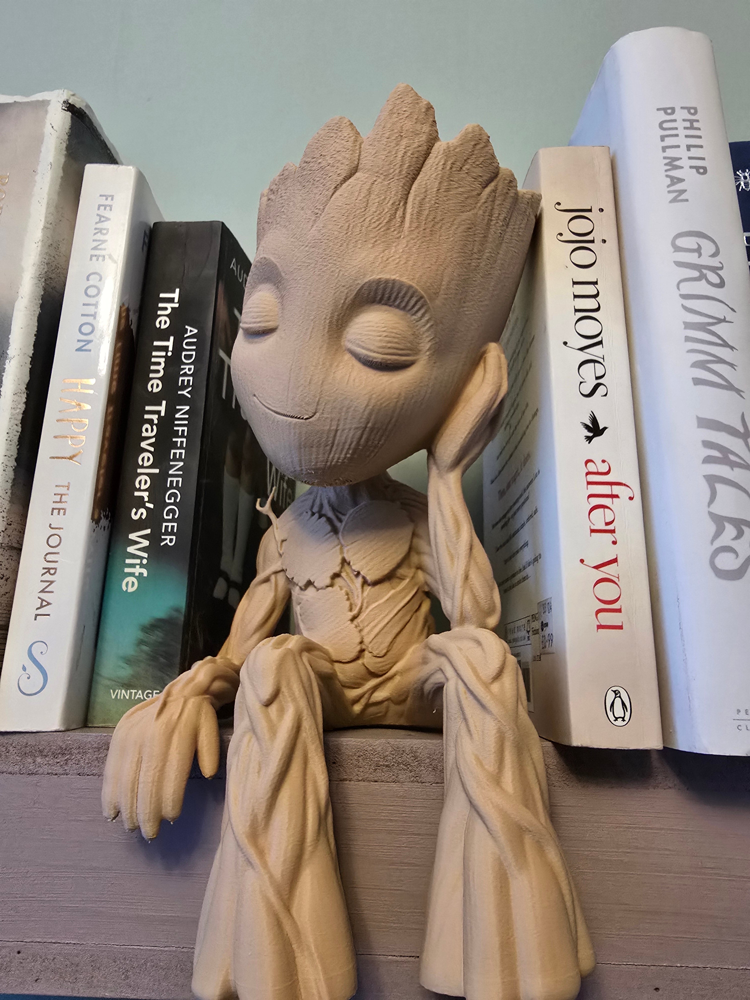 GROOT KİTAPLIK AKSESUARI